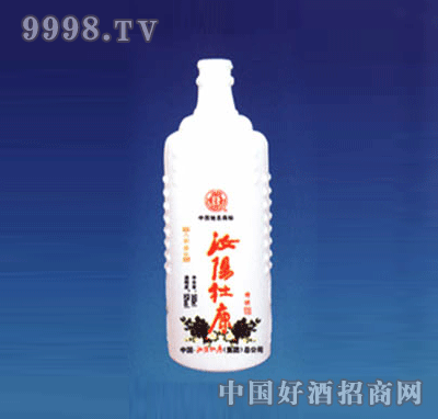 YC-R002-500ml׿ƿ